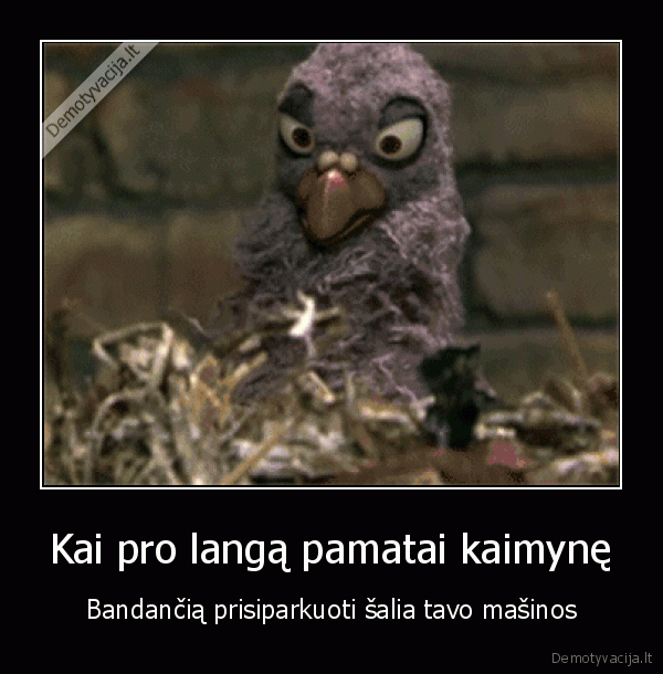 parkavimas,stebi