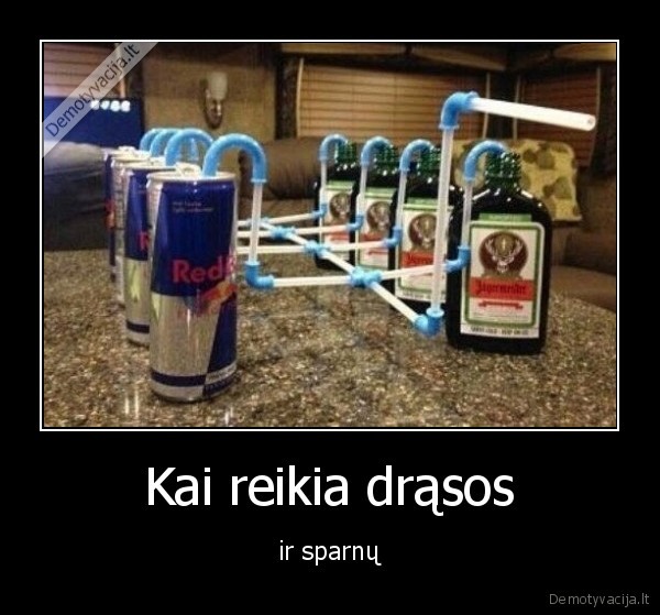 drasa,sparnai