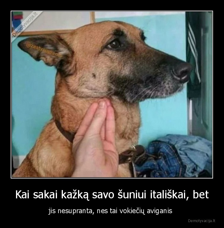 kalbos,barjeras,suo,italiskai,vokiskai