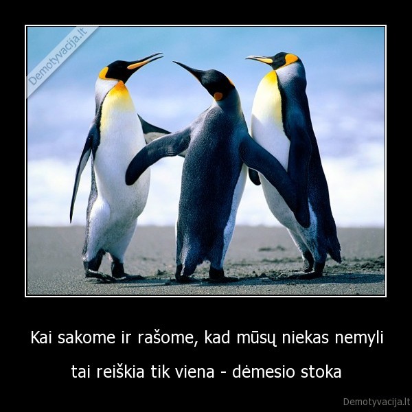 myli,sakome,rasome
