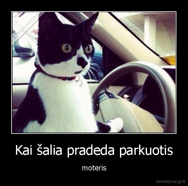 moteris,parkuotis