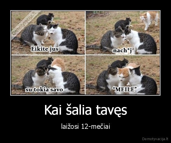 meile,seile,kistukas,piestukas
