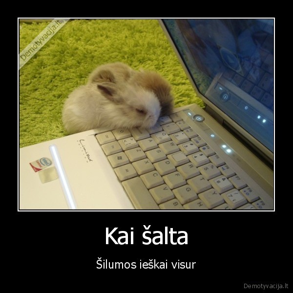 Kai šalta
