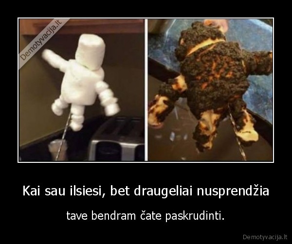 catas,draugeliai,zefyras