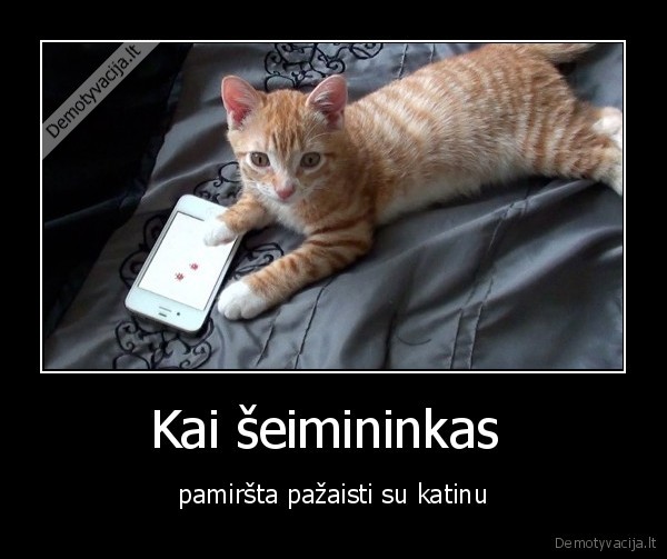katinas