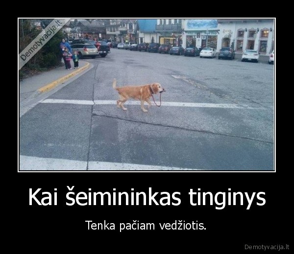 suo,vedziuoti