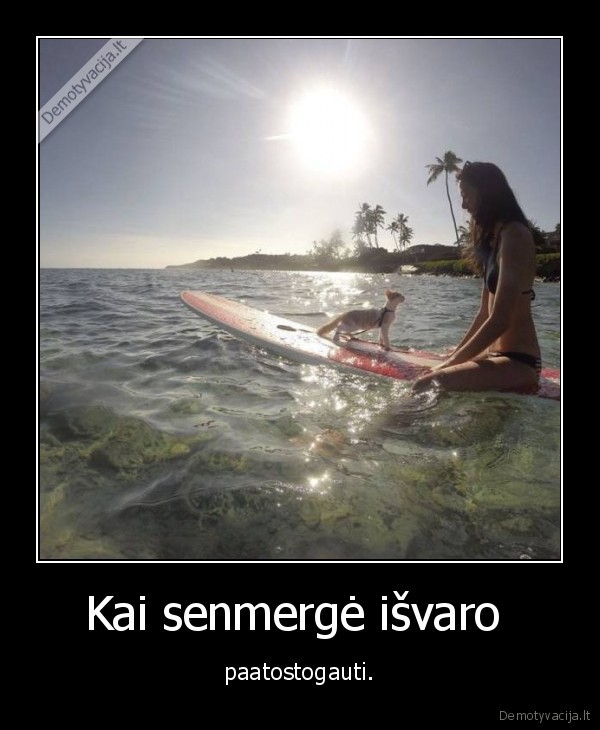 senmerge,katinas,kate,atostogos