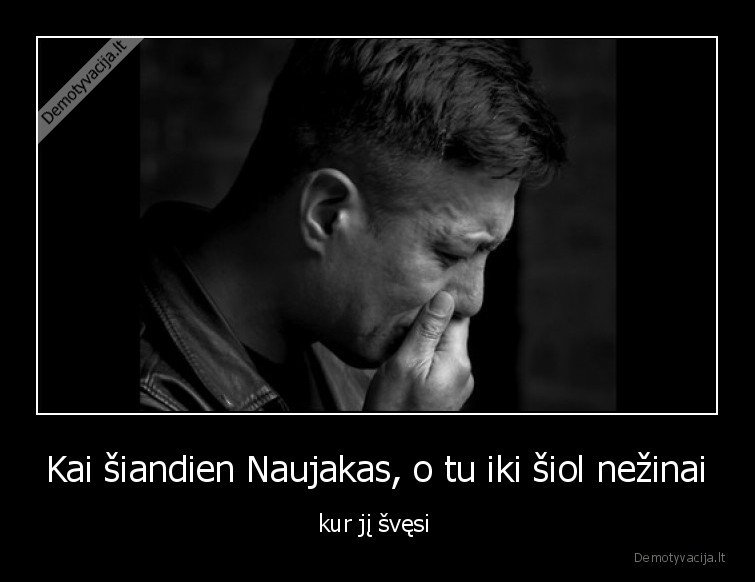 naujakas,naujieji,metai,plotas