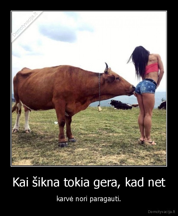 mergina,sikna,karve