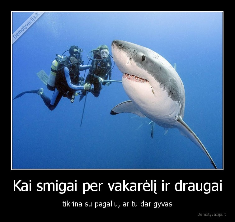 gyvas,ryklys,narai