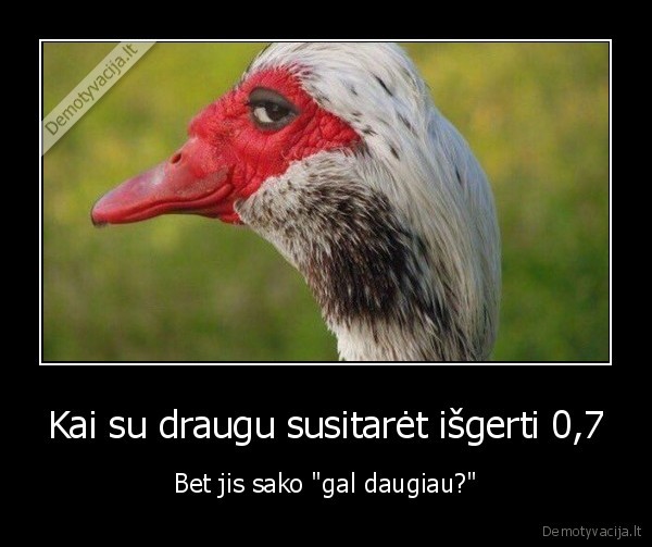 ideja,gerimas
