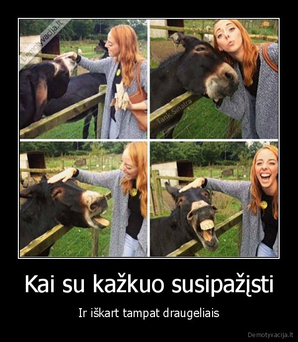 draugai,asilas