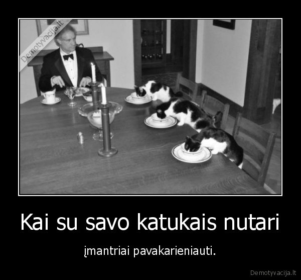 kate,katinas,katukas,vakariene
