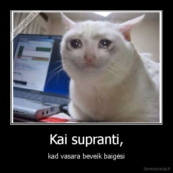 vasara,baigesi,verkti