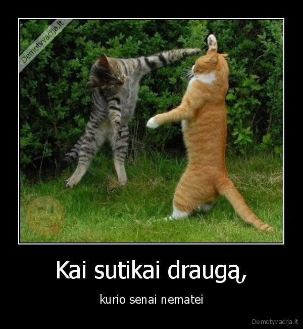 draugas