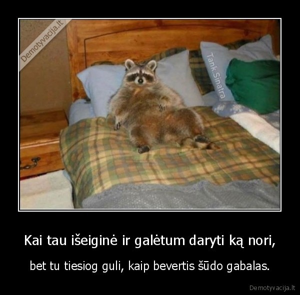 iseigine,savaitgalis