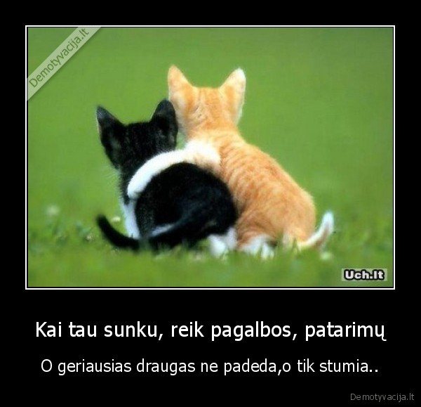 draugai