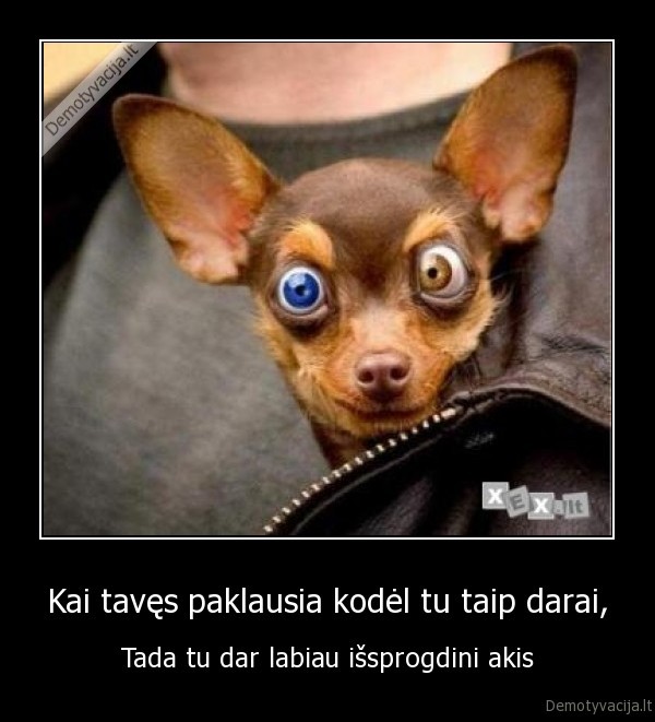 Kai tavęs paklausia kodėl tu taip darai,