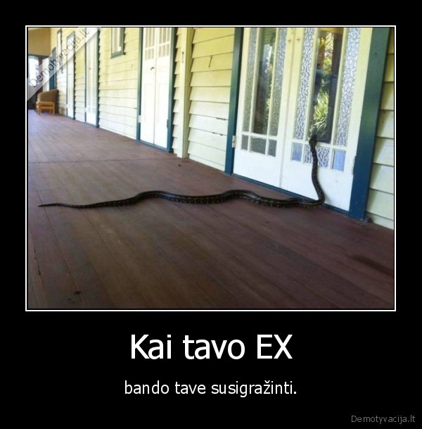 ex,gyvate,susigrzainti