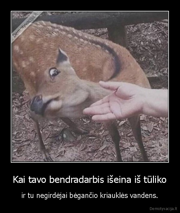 bendradarbis,vanduo,kriaukle