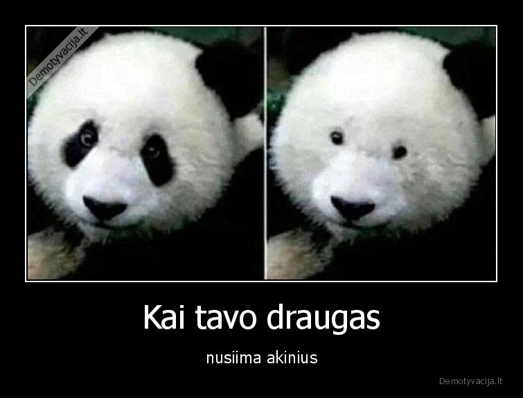 draugas,akiniai,akiniuotis,isvaizda