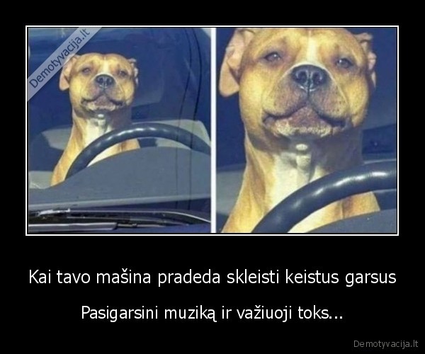 masina,suo