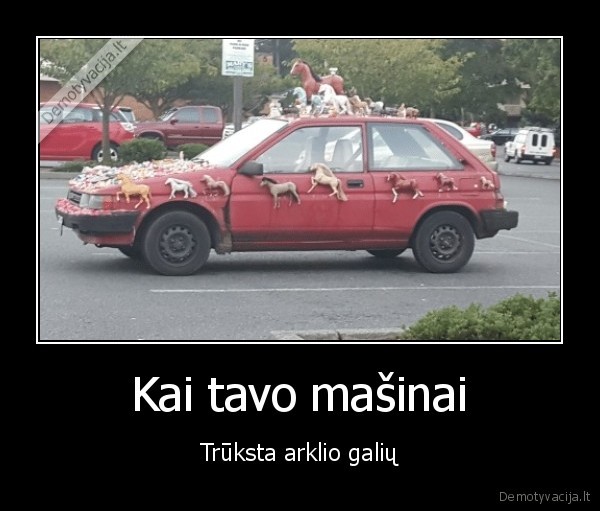 arkliai,lavonas