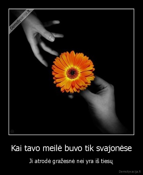 Kai tavo meilė buvo tik svajonėse