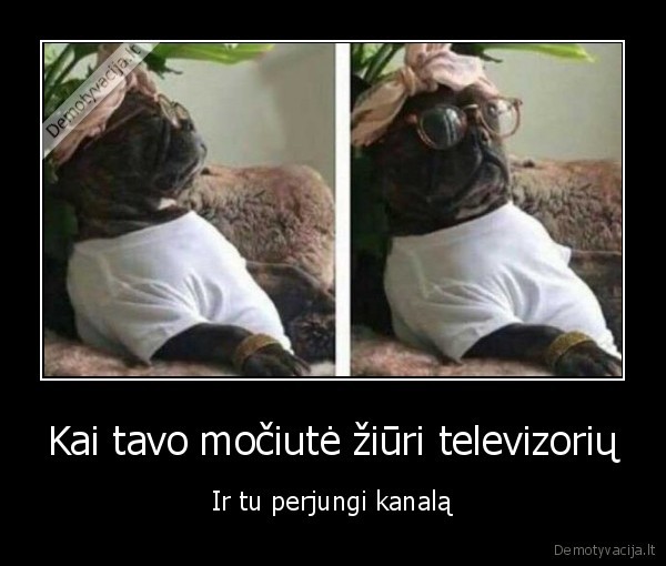 kitas, kanalas,telikas,pikta, mociute