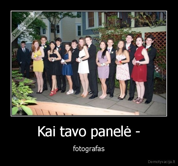 panele,fotografas