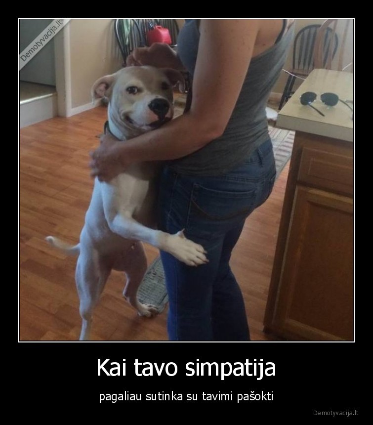 suo,sokis,simpatija