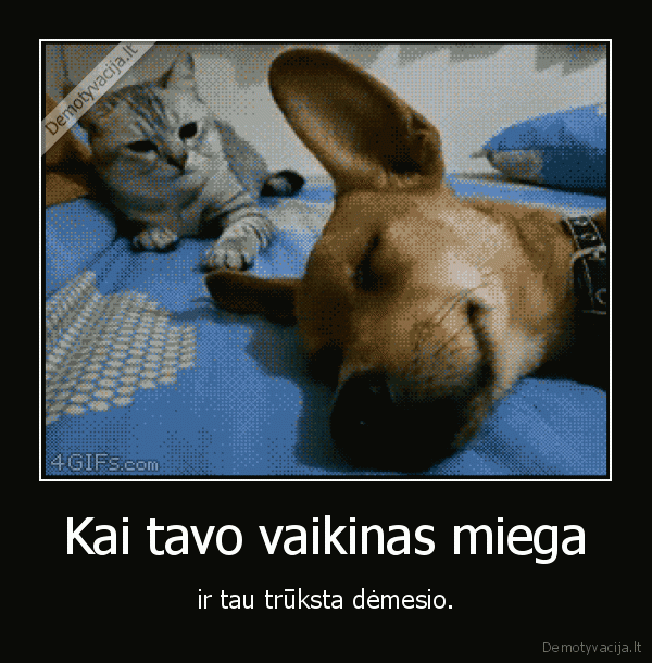 kate,katinas,suo,mergina,vaikinas,miegas
