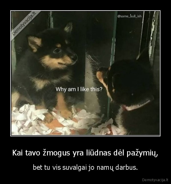 suo,namu, darbai