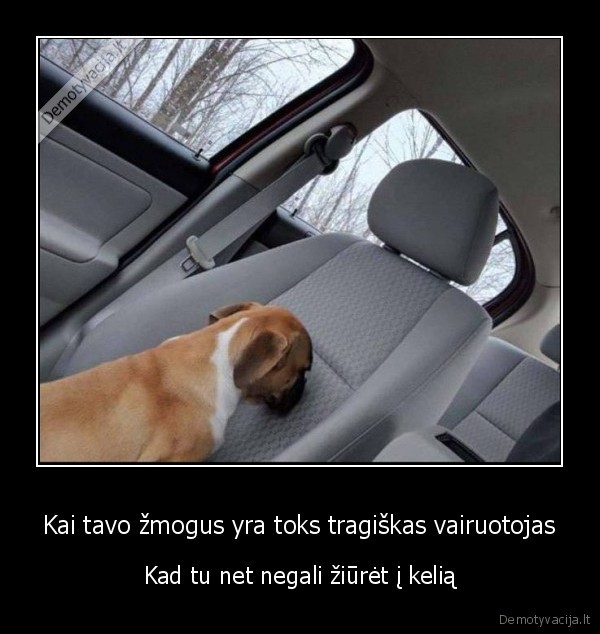 juokingas, suo,neziuri