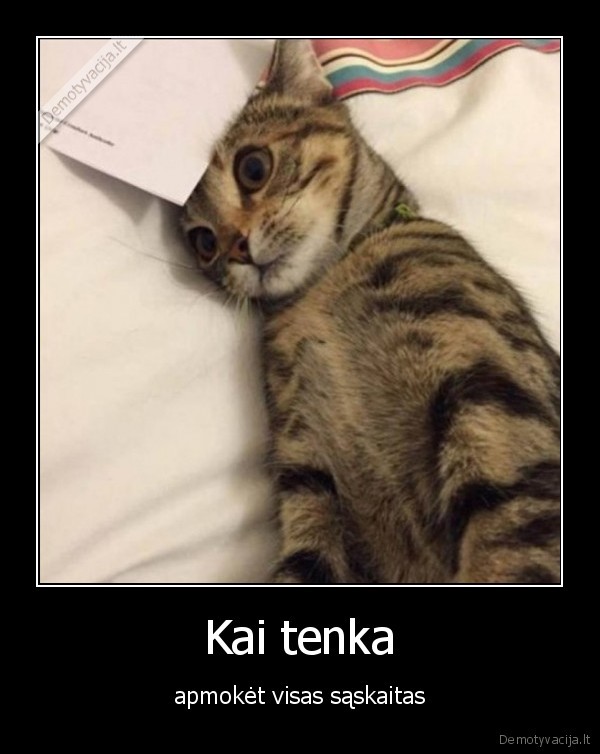 saskaitos,apmoketi