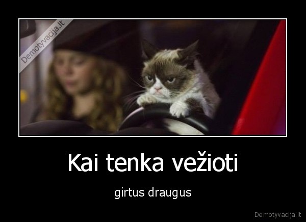 draugai,girti