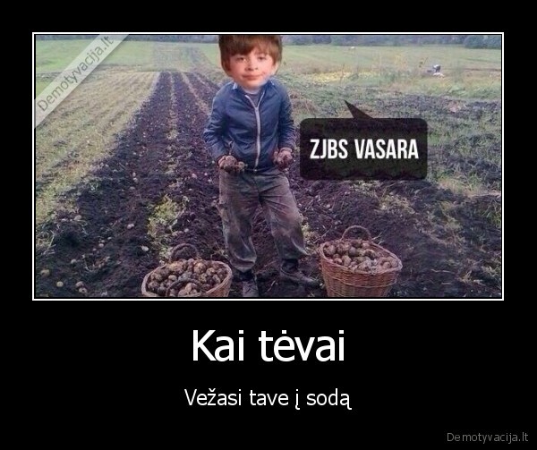 sodas,bulviu, kasimas,kasa, bulves