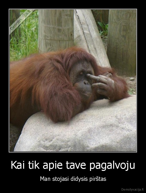 Kai tik apie tave pagalvoju