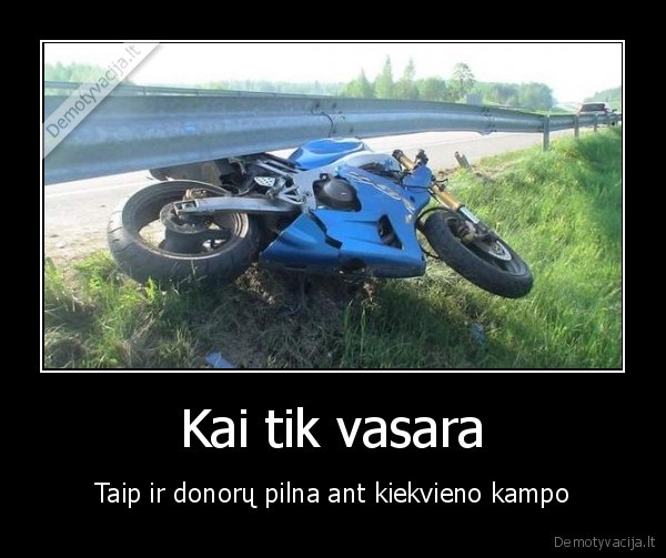Kai tik vasara