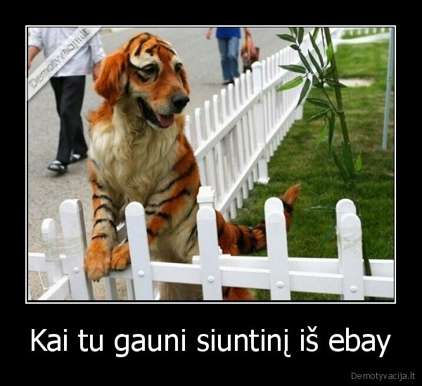 Kai tu gauni siuntinį iš ebay