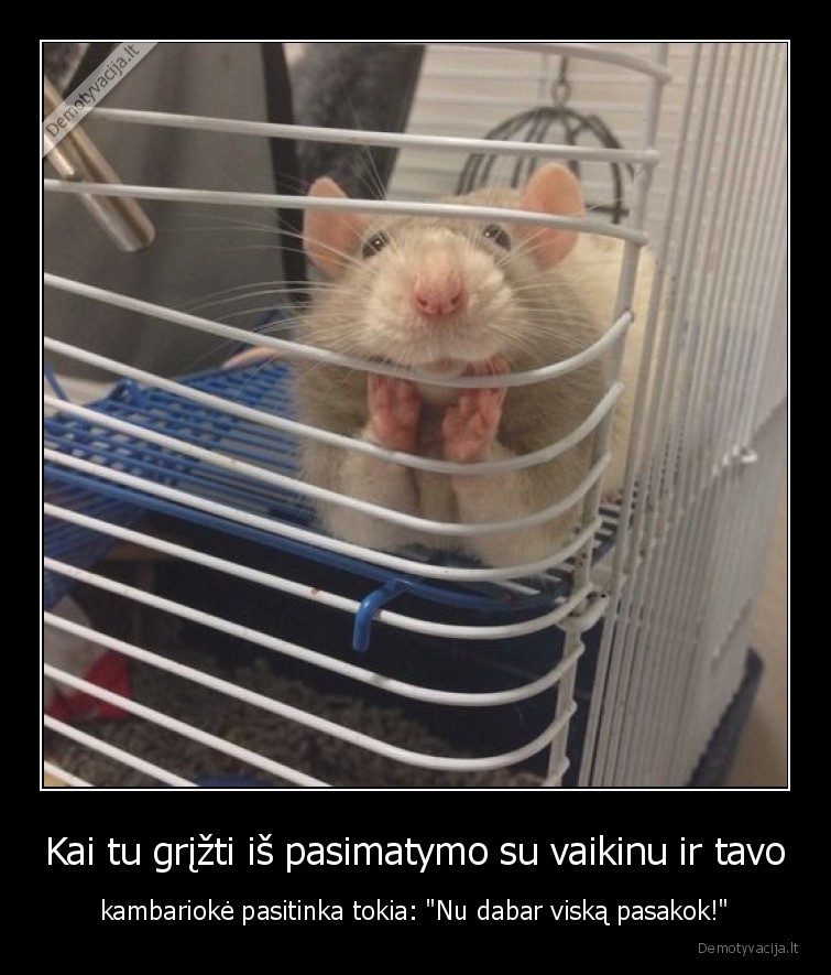 ziurke