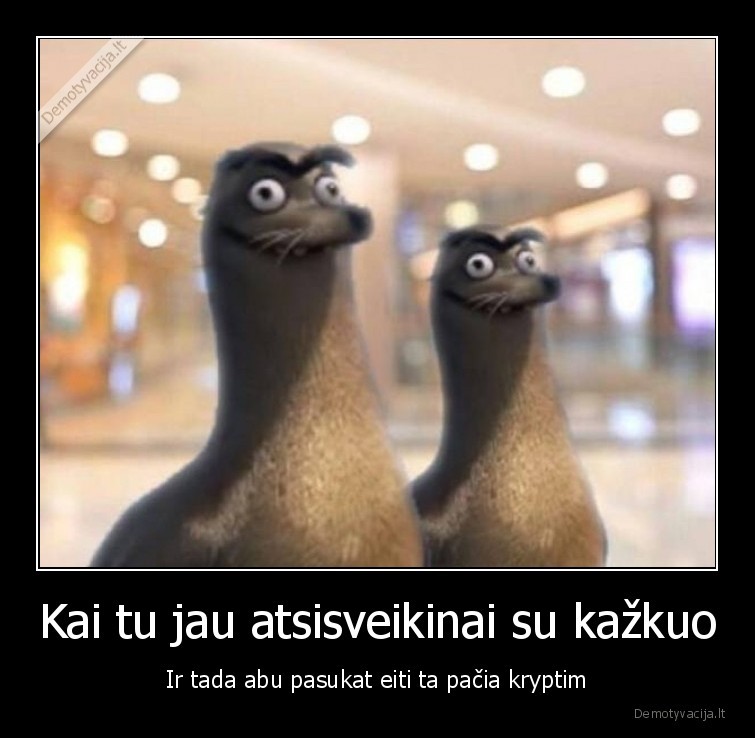 nejaukus, momentas