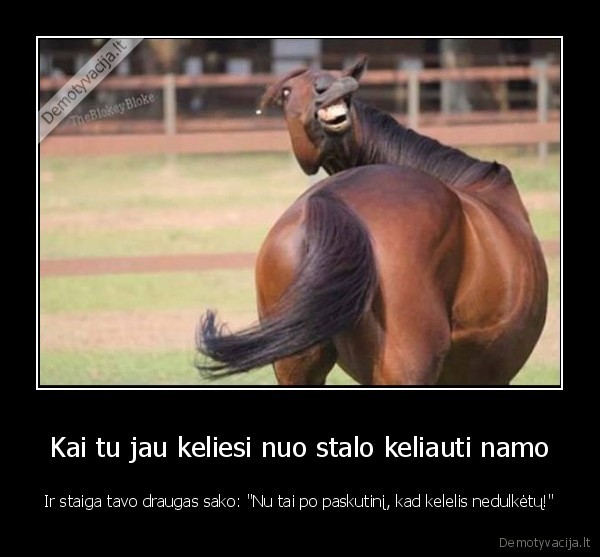 alkoholis,gerimas,baliai