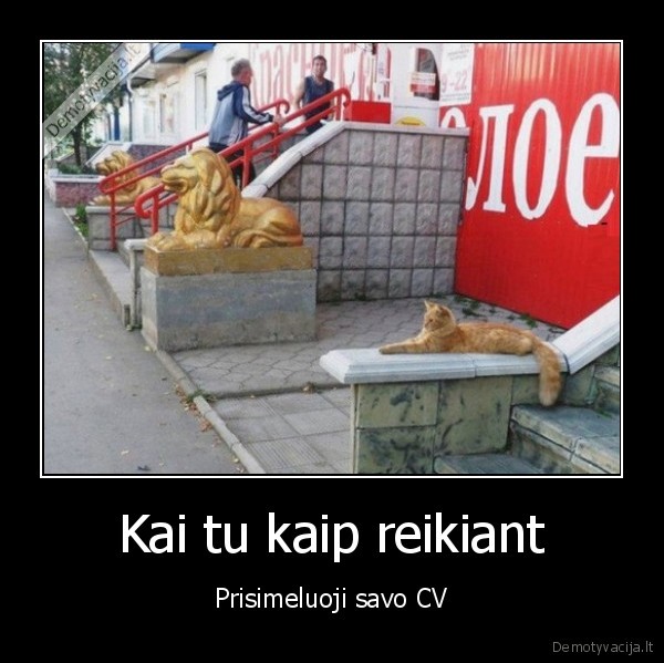 cv,katinas,statulos,liutai