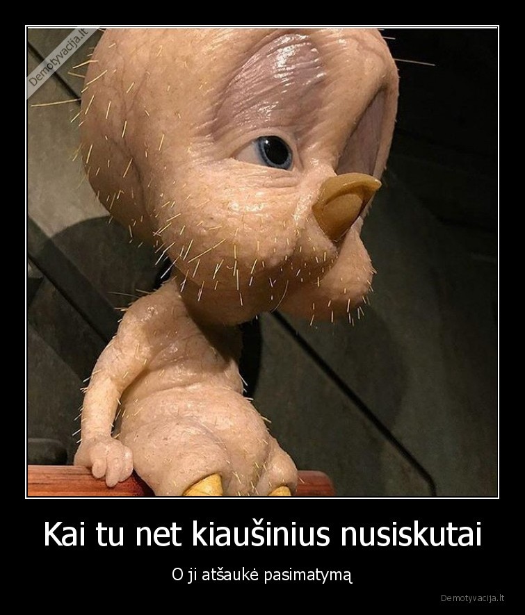 kiausiai,kanarele