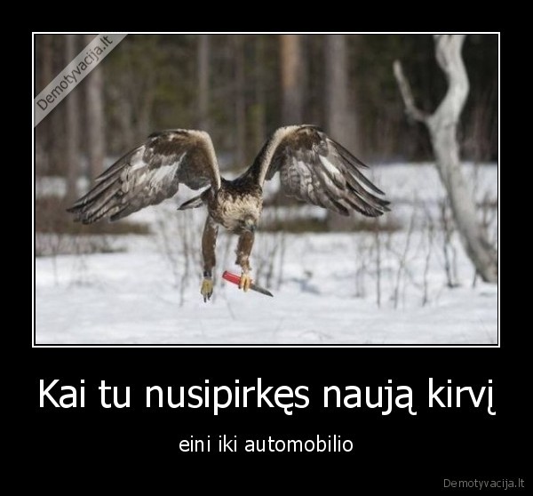 Kai tu nusipirkęs naują kirvį