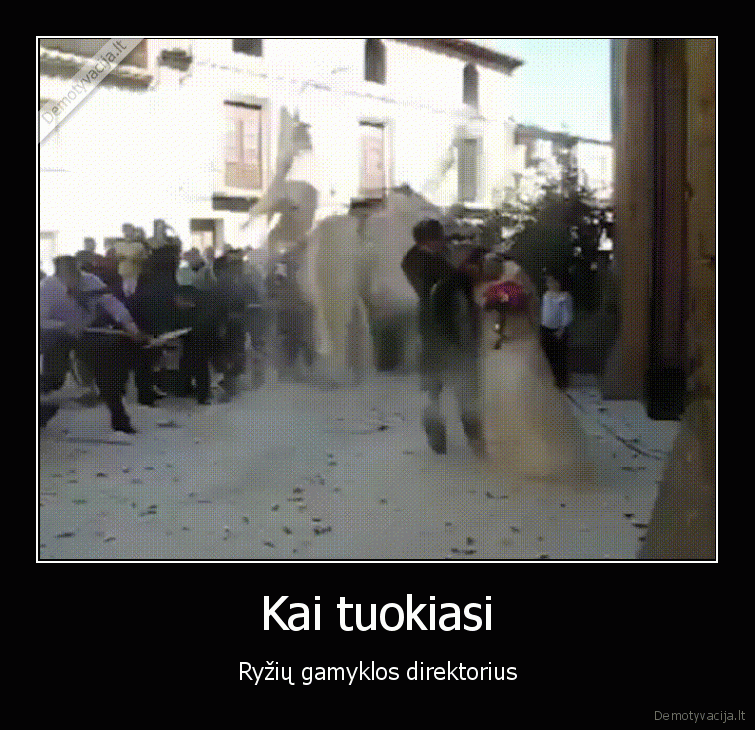 ryziai,jaunavedziai