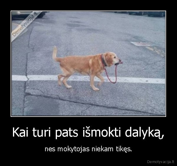 mokslai,mokykla,dalykas,pamoka,mokytojas