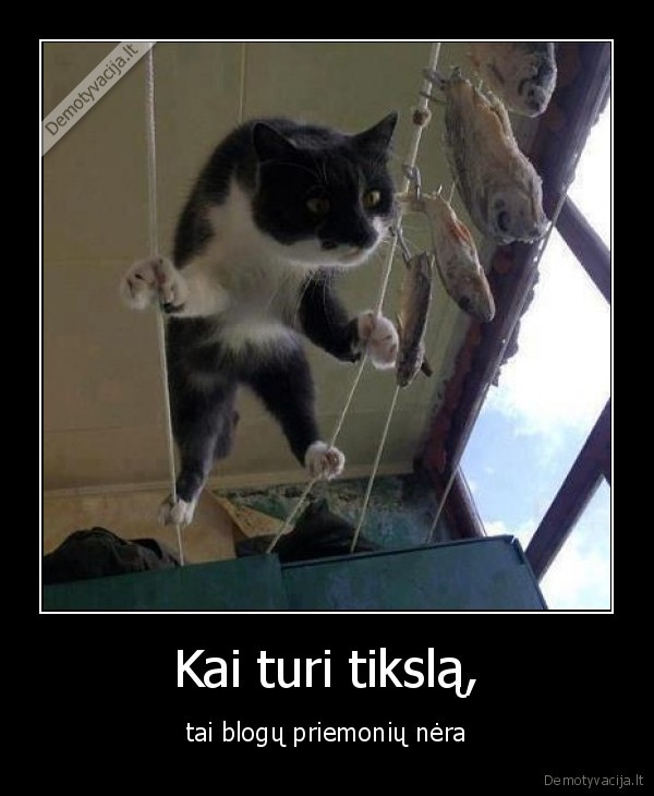 Kai turi tikslą,