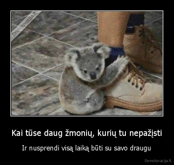 tusas,vakarelis